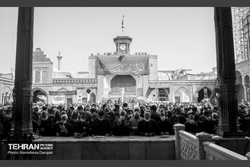 تجلی «حب‌الحسین یـجمعنا» 15