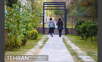 باغ راه فدک 23