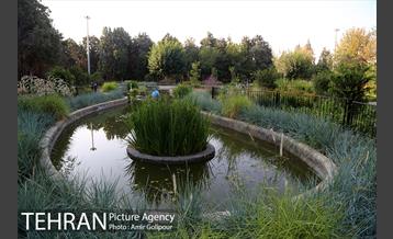 باغ راز هستی 29