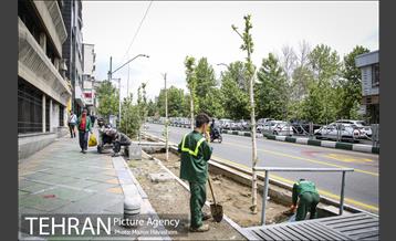 تهران؛ روزمرگی 7