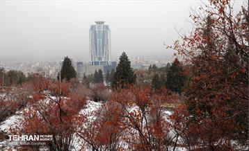 روز برفی در بوستان جنگلی سرخه‌حصار 3