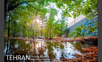 بوستان جنگلی چیتگر 42