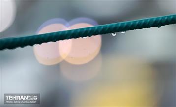 بارش باران پاییزی در تهران 14