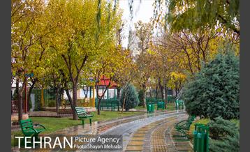 پاییز در بوستان المهدی(عج) 32