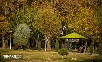 سمفونی رنگ های پاییزی - پارک لاله 42