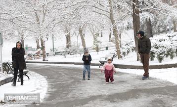 صبح برفی بوستان ملت 15