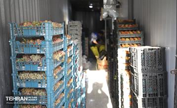 افتتاح ۲ بازار میوه و تره‌بار در تهران 5