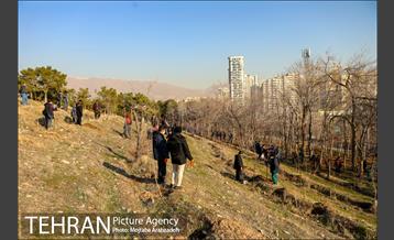 کاشت 2200 اصله نهال در بوستان جنگلی چیتگر 22