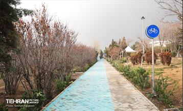 به وقت خدمت؛ مسیر زندگی 30