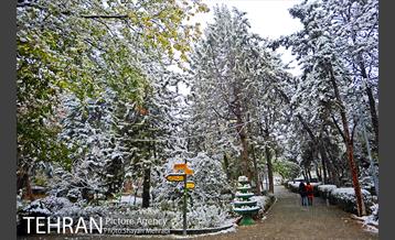 بارش برف پاییزی در بوستان طالقانی 4