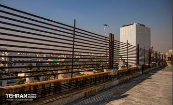 جای خالی پروانه ها 9