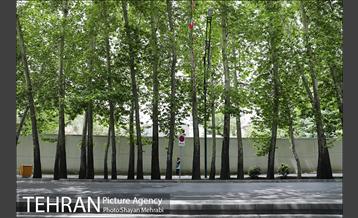 ولیعصر(عج)؛ خیابانی به درازای خاورمیانه 8