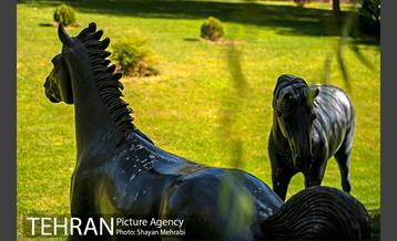 بوستان جوانمردان ایران 8