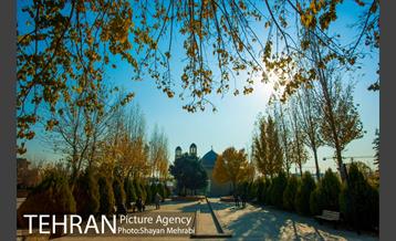 پاییز باغ موزه قصر 20