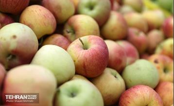 بازار میوه و تره‌بار میخک 3