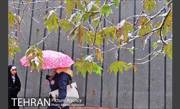 بارش اولین برف پاییزی در تهران 13