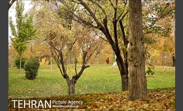 پاییز زیبای پایتخت 11