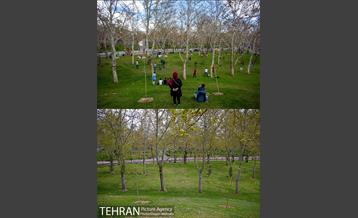 ملت بی ملت 21