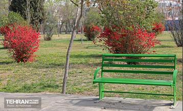 بهار در منطقه 18 29