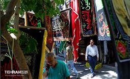 عطر بوی سیب وزیدن گرفت 20