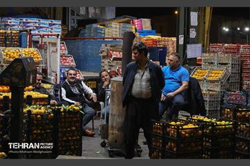 تره‌بار یلدایی 73