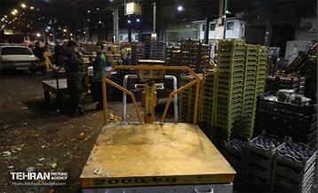 تره‌بار یلدایی 79