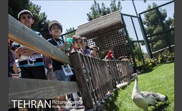 باغ پرندگان تهران 39