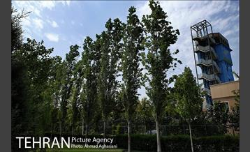 نگاهی به منطقه 16 شهرداری تهران 16