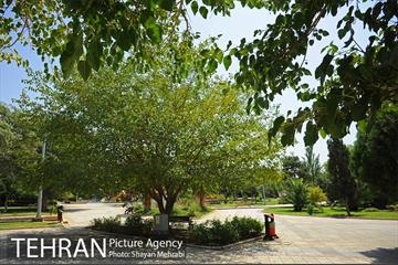 بوستان بسیج 43