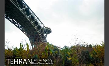 پاییز اراضی عباس آباد 6