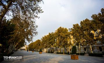 پاییز میدان مشق 7