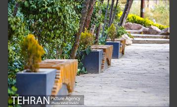 باغ راه فدک 22