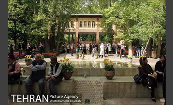 لاله های بهاری بوستان مختاری 16