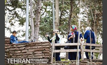 بوستان طالقانی 22