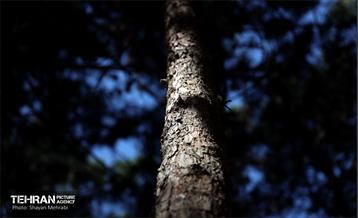 بازدید اصحاب رسانه از روند انجام عملیات احیای چیتگر 47