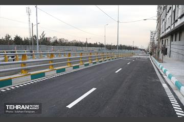 آیین افتتاح رمپ حرکتی خیابان بهار 4