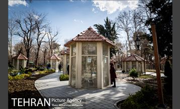 پارک شهر بعد از یک صبح بارانی 14