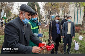 مراسم‌ کاشت نهال در بوستان بهاران منطقه ۱۷