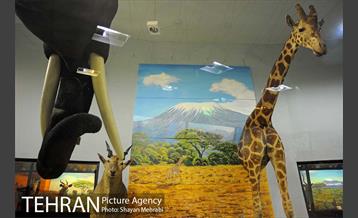 موزه حیات وحش پردیسان 39