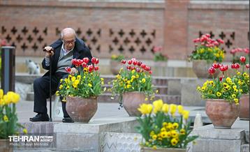 تور عکاسی از باغ ایرانی 29