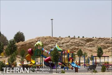بوستان جنگلی یاس فاطمی 24