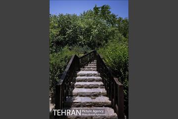 باغ پرندگان تهران 27