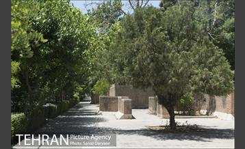 بوستان شفق‎ 24