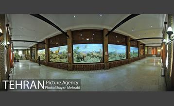 موزه حیات وحش هفت چنار 56