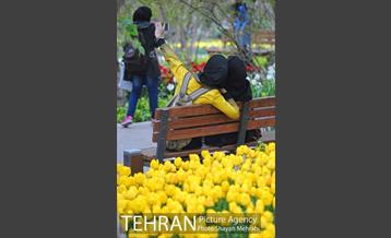 باغ ایراتی (بوستان مهندس مختاری) 7