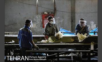 مرکز دفع و بازیافت پسماند زباله آرادکوه - کهریزک 10