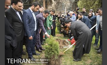 آیین کاشت " درخت فرهنگ و هنر و رسانه"  33