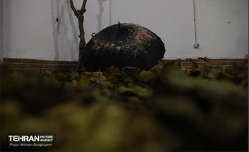 سیزدهمین جشنواره چترنویسی «باز باران» 31