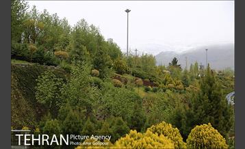 بهار بارانی تهران در روز طبیعت 10
