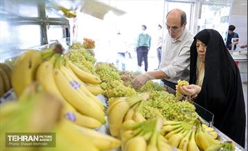 بازار میوه و تره‌بار مرواردید 21